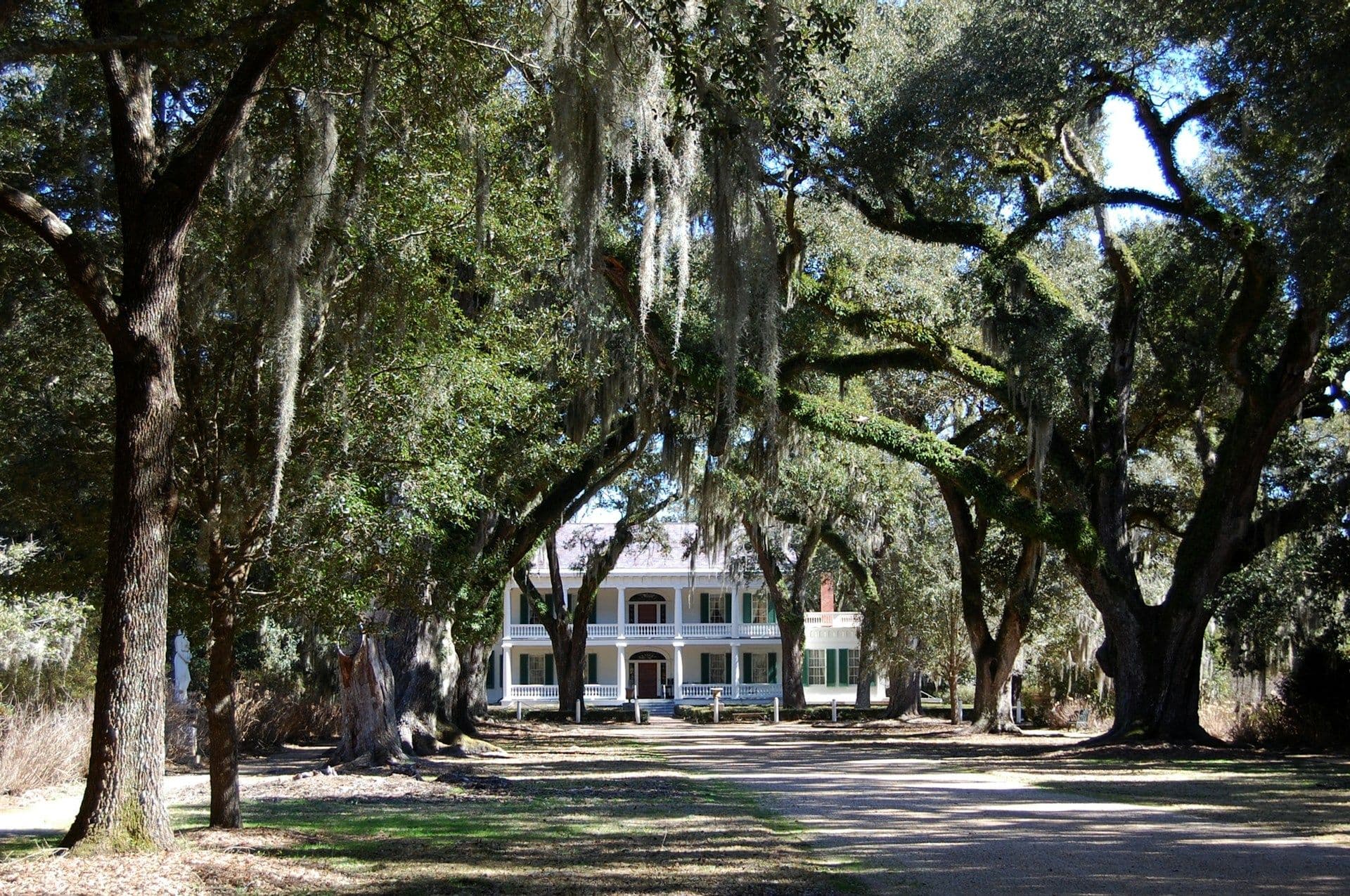 Baton Rouge to Natchez: Historic River Road Day Trip