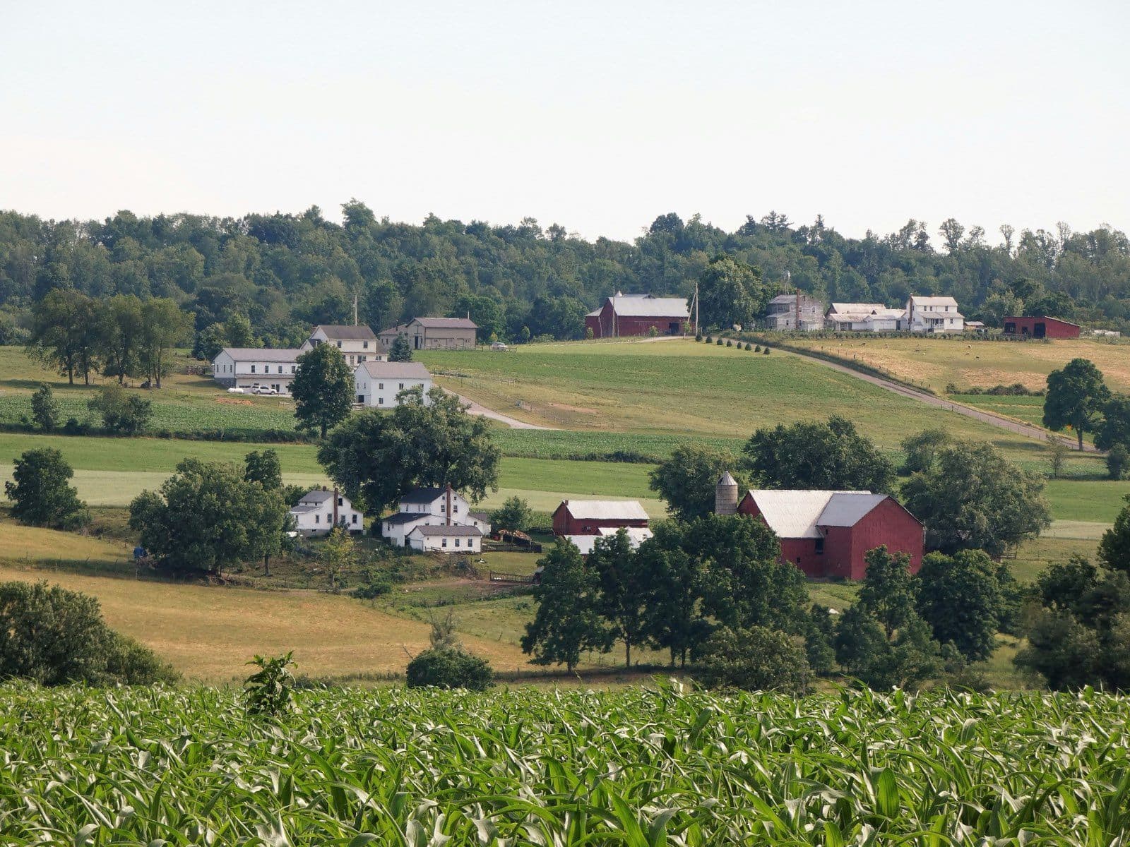 Wilmington to Philadelphia & Amish Country: Historic Loop