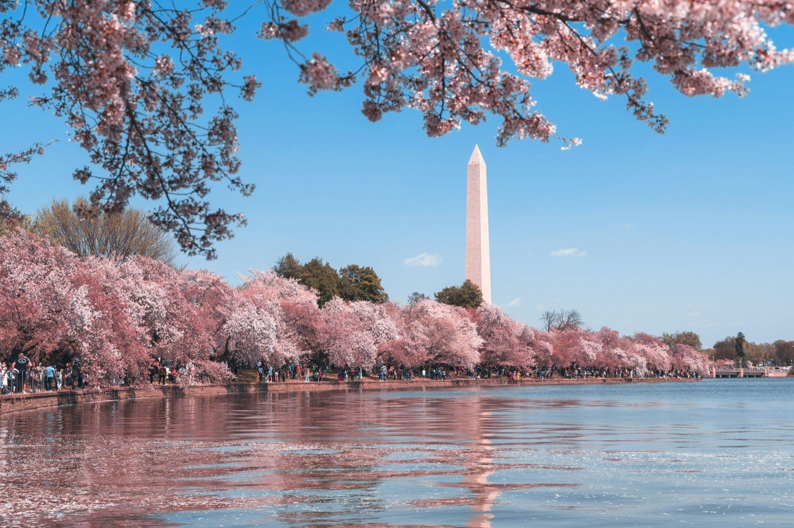 Washington, DC Car & Van Rentals – Compare Suppliers